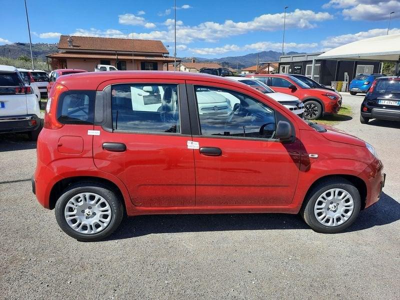 FIAT Pandina PANDA MY26 1.0 65CV HYBRID ICON