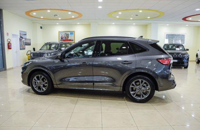 FORD Kuga 1.5 EcoBlue 120 CV 2WD ST-Line