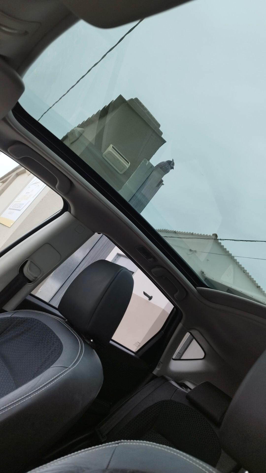 Nissan Qashqai 1.6 dCi DPF Tekna