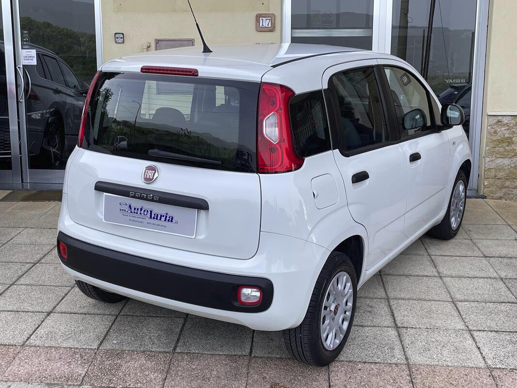 Fiat Panda 1.2 Easy S&S 69cv my19 "Adatta anche per neopatentati" (fendinebbia-Bluetooth - USB-Block System)