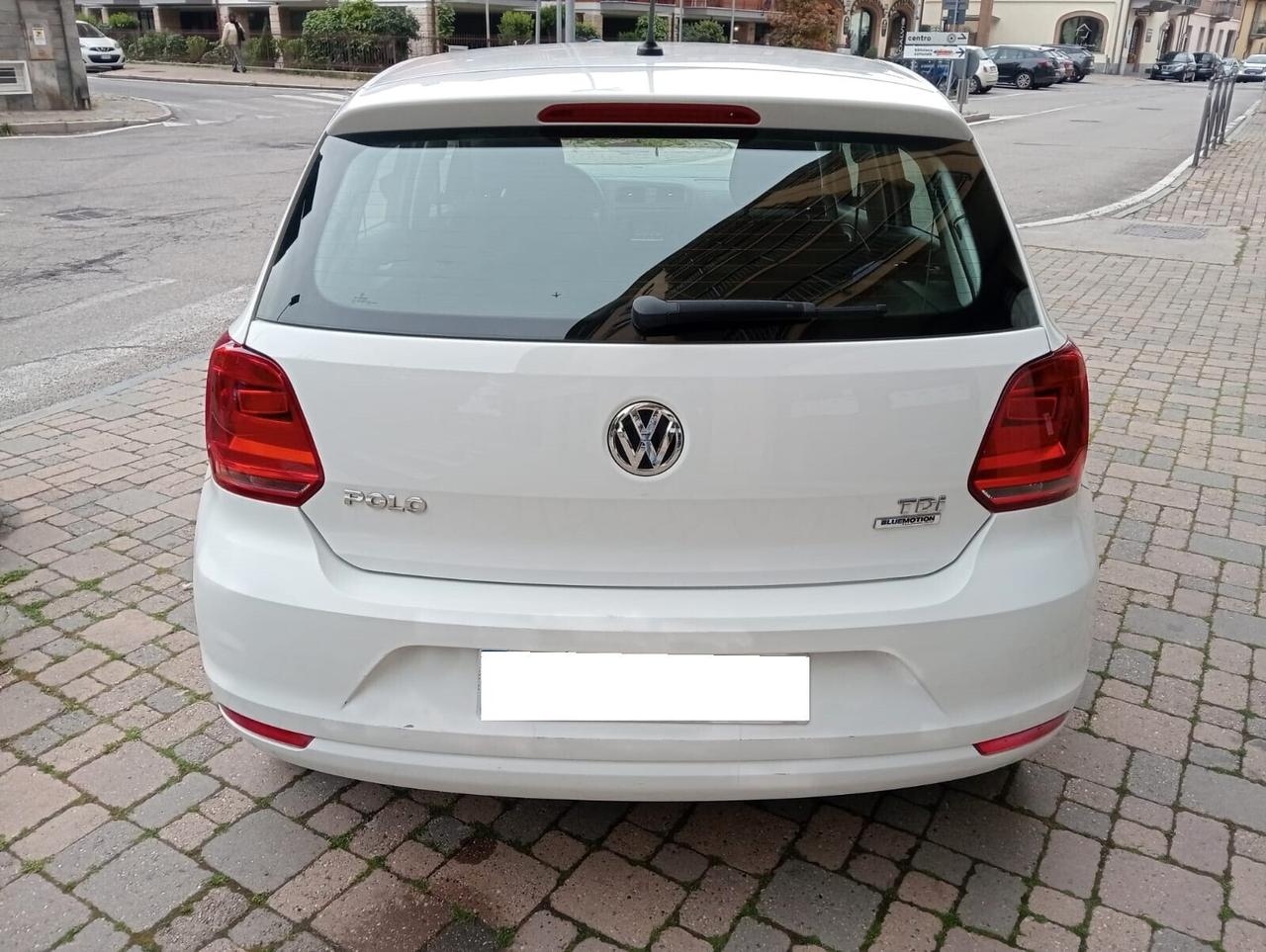 Volkswagen Polo 1.4 TDI 5p. BlueMotion