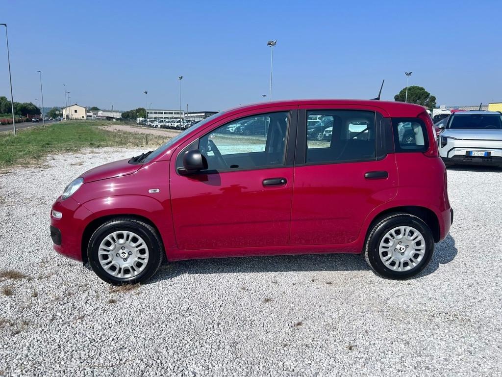 FIAT Panda My25 1.0 70cv Hybrid Panda