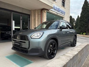 MINI Countryman D Classic Countryman CERCHI DA 19''