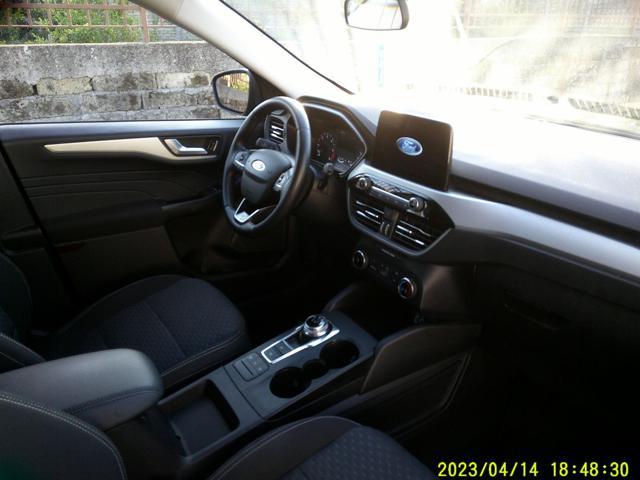 FORD Kuga 1.5 EcoBlue 120 CV aut. 2WD Titanium Business