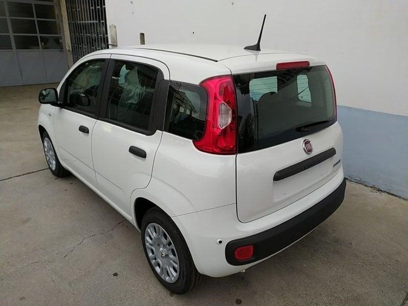 FIAT Panda 1.0 70cv Hybrid Promo CBC 5