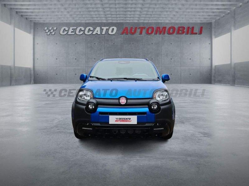 FIAT Panda Panda My25 1.0 70cv Hybrid Pandina