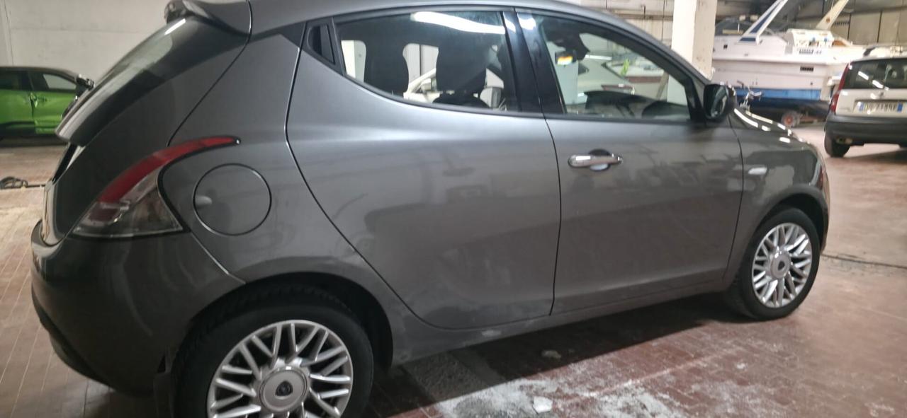 Lancia Ypsilon 1.3 MJT 16V 95 CV 5 porte S&S Platinum