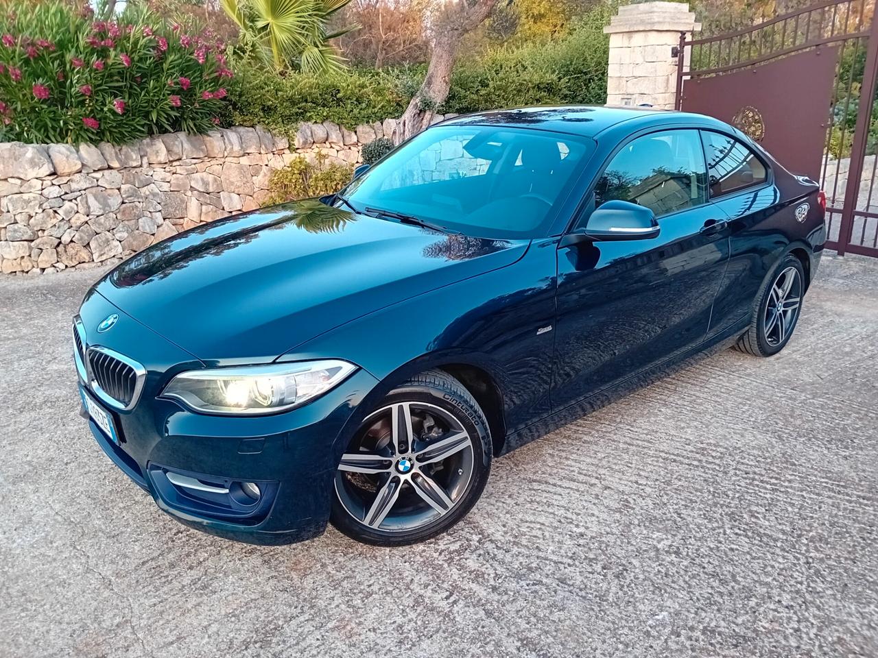 Bmw 218 218d Coupé Sport