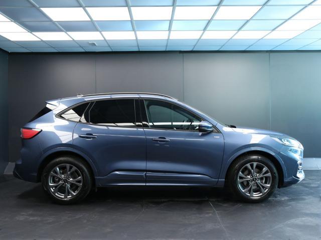 FORD Kuga 2.0 EcoBlue 120 CV aut. 2WD ST-Line PROMO GIUGNO