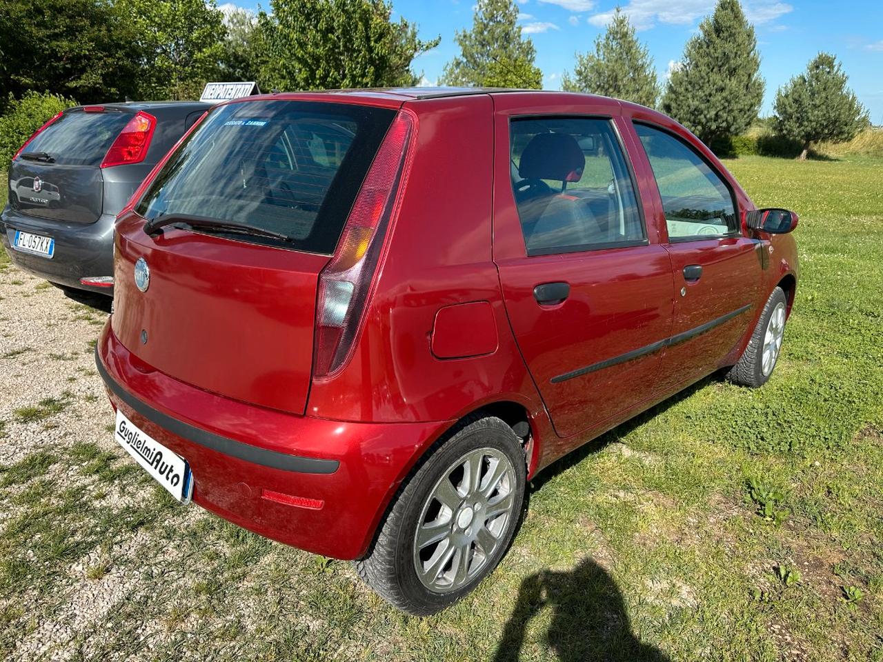 Fiat Punto 5 Porte Punto 5p 1.2 Dynamic Automatica