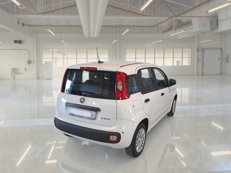 FIAT PANDINA 1.0 FIREFLY 65 CV SES 6M HYBRID ICON 5 PORTE BERLINA