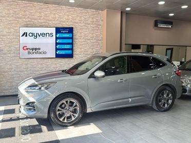 Ford Kuga 1.5 EcoBlue 120 CV aut. 2WD ST-Line