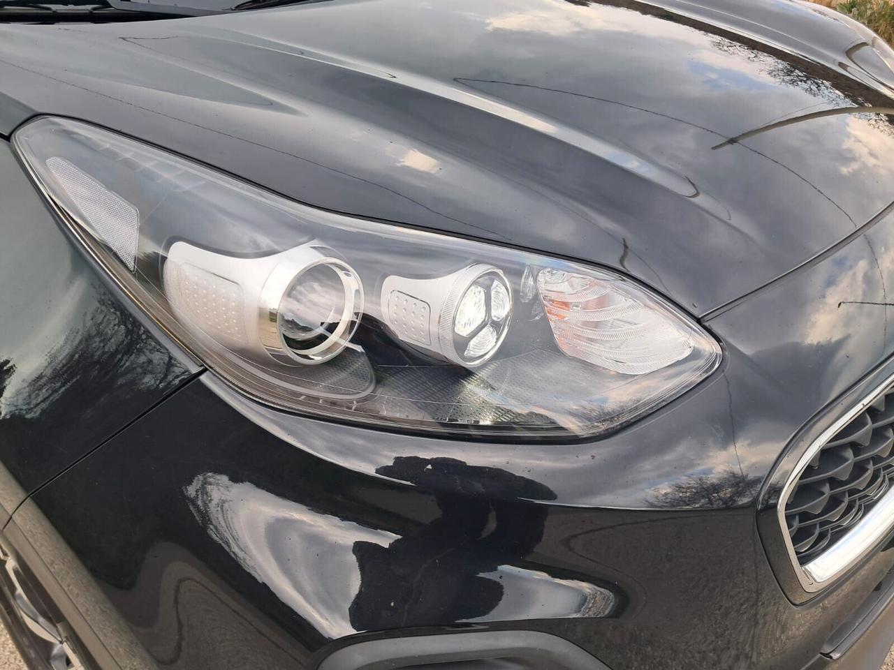 Kia Sportage 1.6 CRDI 136 CV DCT7 2WD Mild Hybrid Business Class (iva esposta)