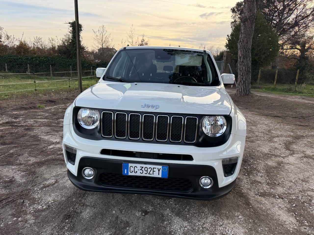 Jeep Renegade 1.0 T3 Longitude