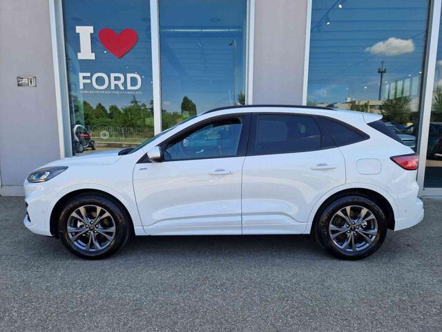 FORD Kuga 1.5 EcoBoost 150 CV 2WD ST-Line