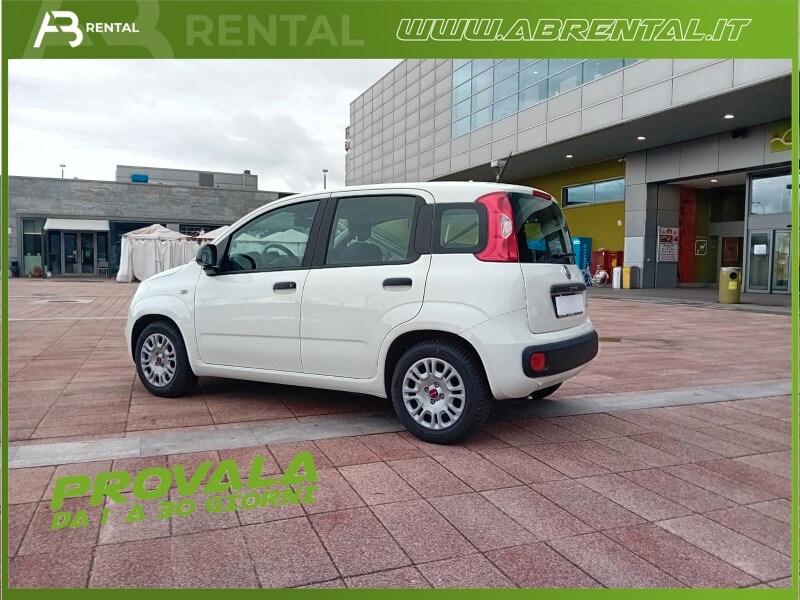 FIAT Panda 3ª serie Panda 1.0 FireFly S&S Hybrid
