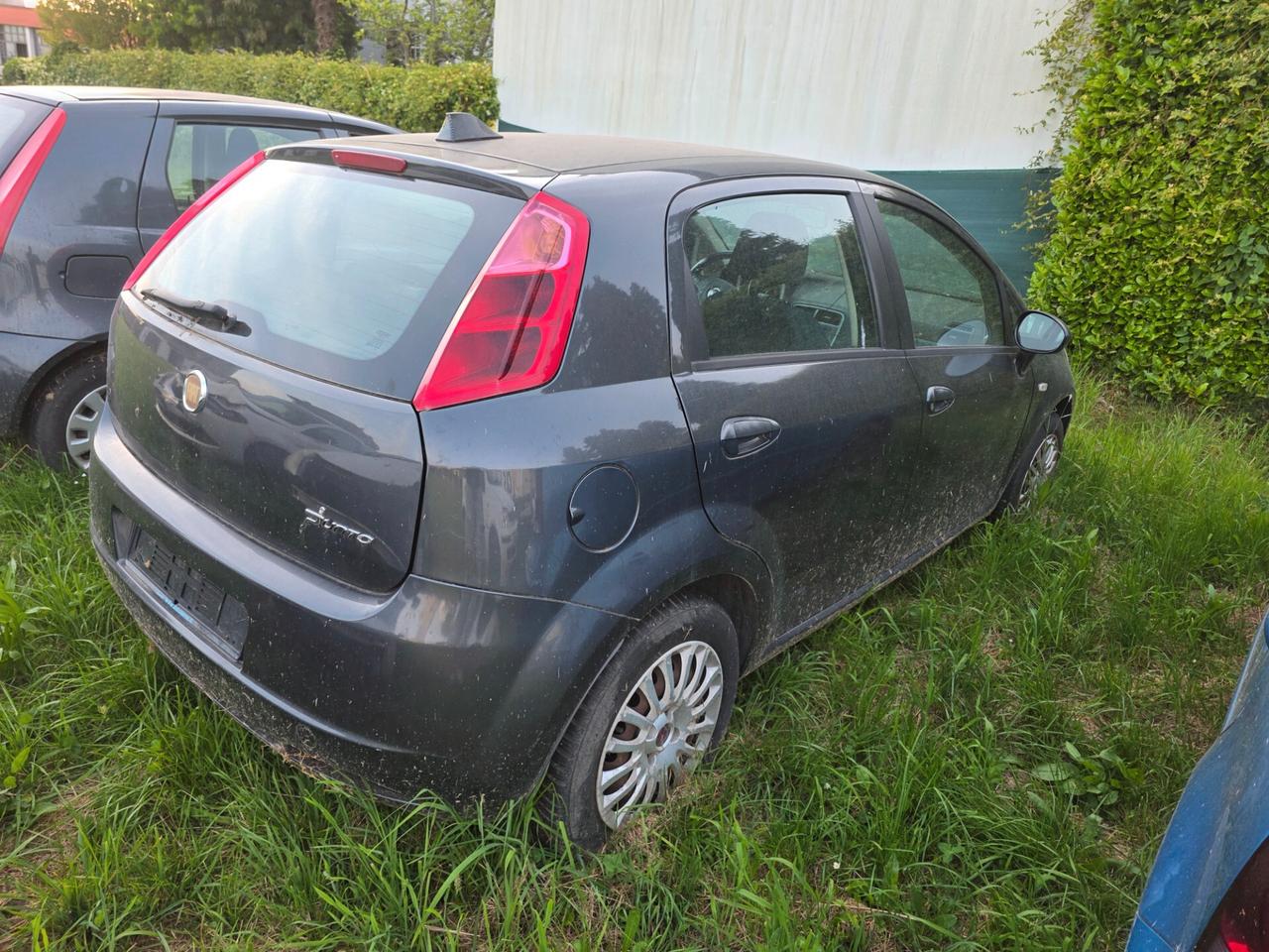Fiat Punto Evo 1.3 Mjt 75 CV 5 porte Active
