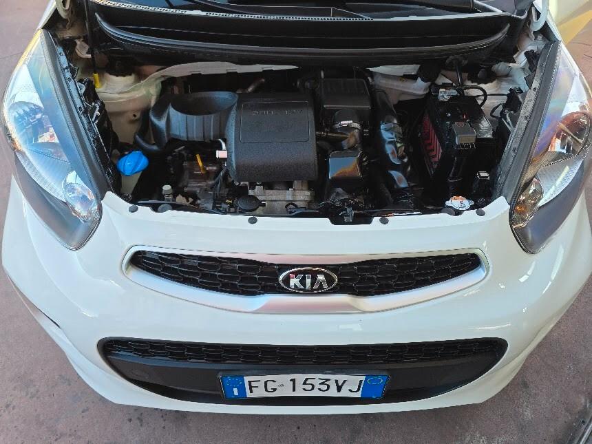 Kia Picanto 1.0 12V EcoGPL 5 porte Active Collection