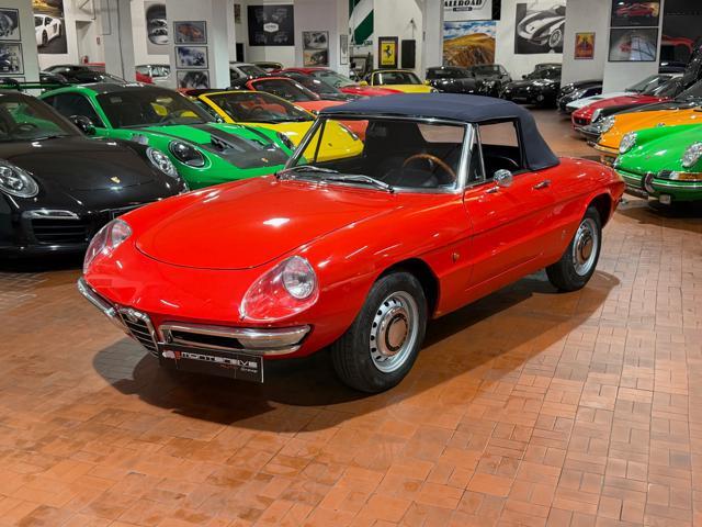 ALFA ROMEO Spider Osso di Seppia 1750 Veloce