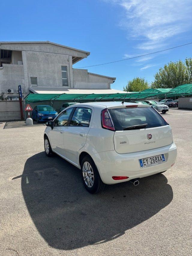 FIAT Punto 1.4 8V 5 porte Easypower Young