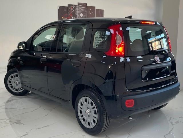 Fiat Panda Pandina 1.0 FireFly 65 CV Hybrid Icon 5.p