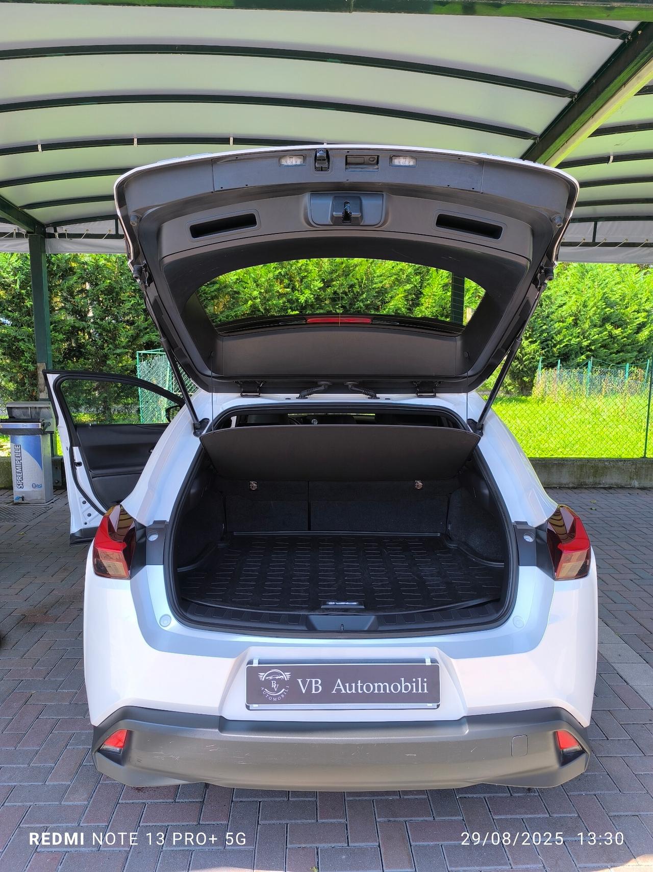 Lexus UX Hybrid Business