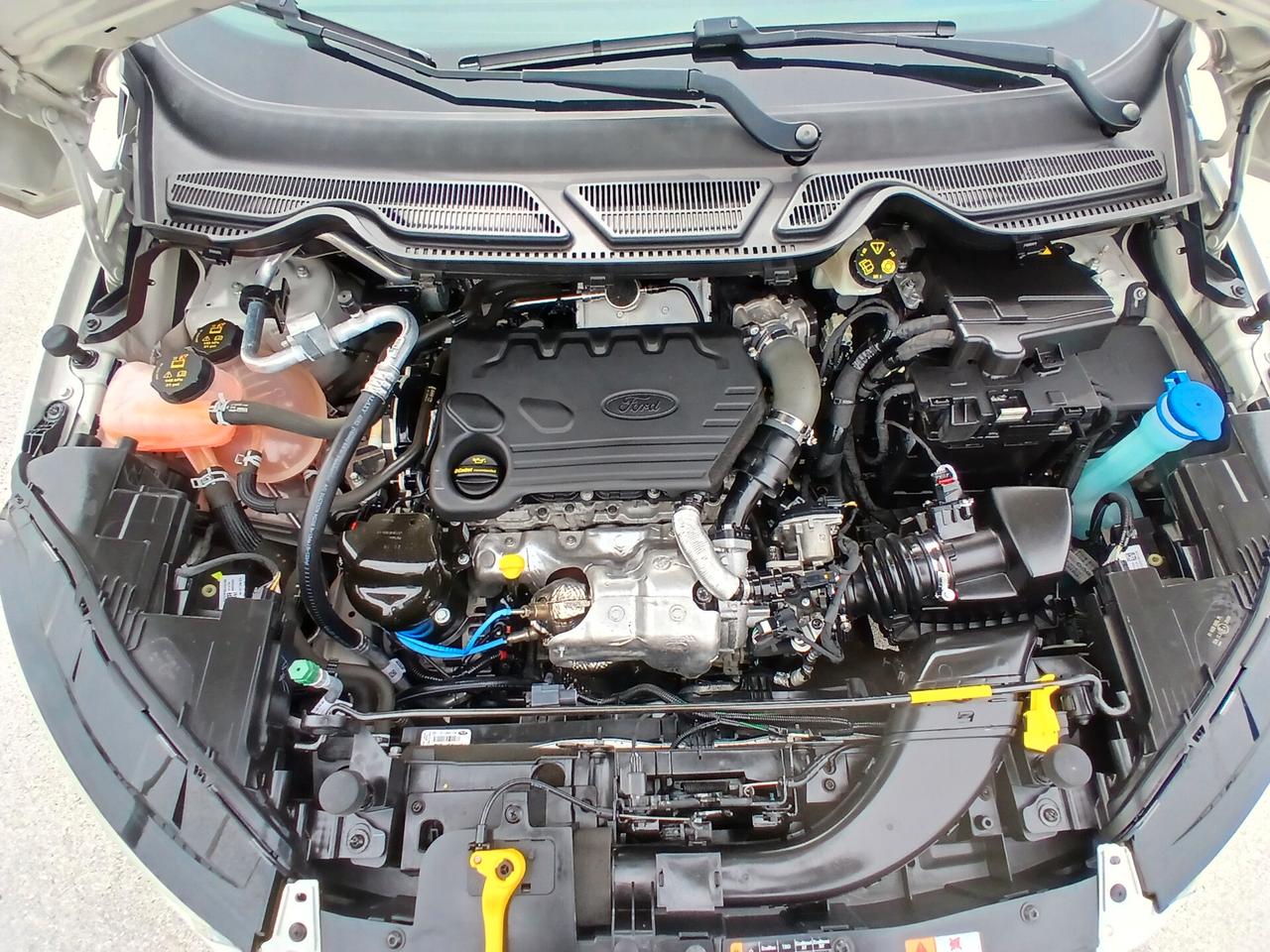 Ford EcoSport 1.5 TDCI 95CV 2020 TITANIUM