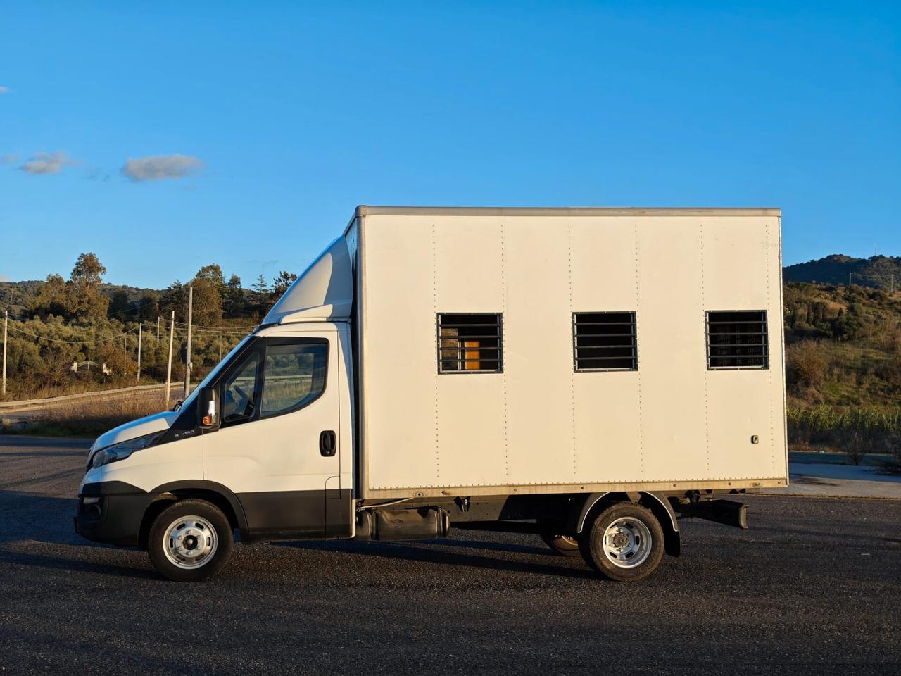 IVECO DAILY 35C13 2.3 ALLESTIMENTO TRASPORTO ANIMALI