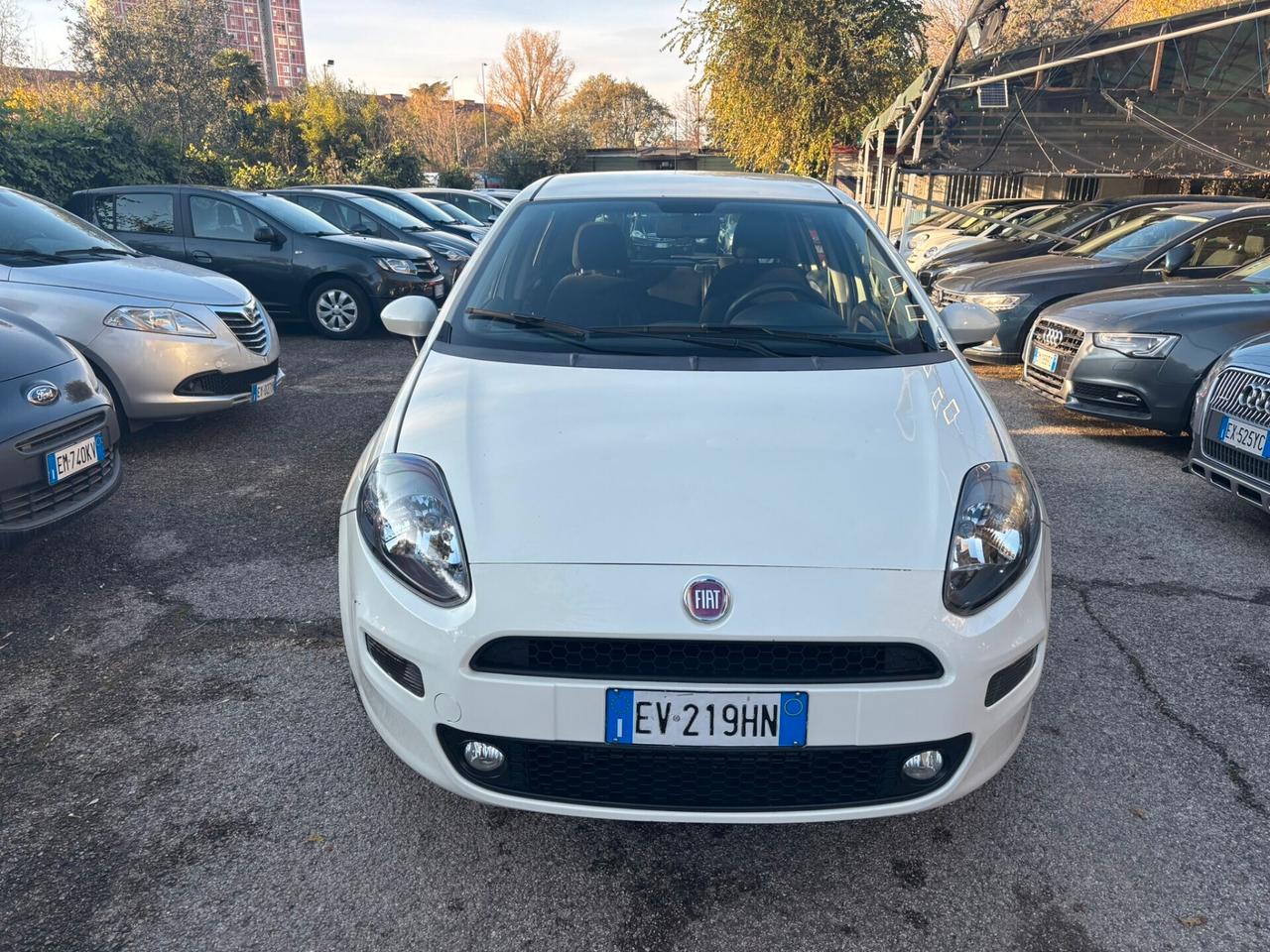 Fiat Punto 1.3 MJT II 75 CV 5 porte OK Neopatentati