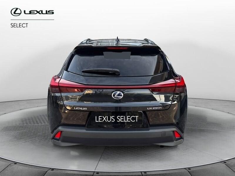 Lexus UX LEXUS UX 250 Hybrid 4WD Midnight
