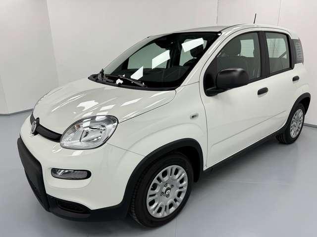 Fiat Panda *PANDINA* 1.0 HYBRID 69CV*CRUISE+SENSORI*ONLYPROMO