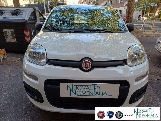 FIAT Panda Pandina 1.0 FireFly S&S Hybrid Icon Km0