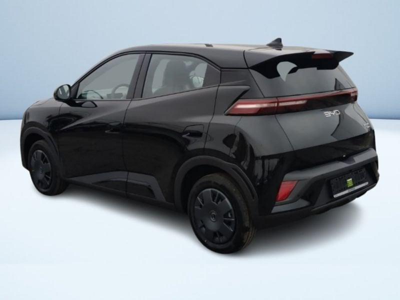 BYD Dolphin Surf Active