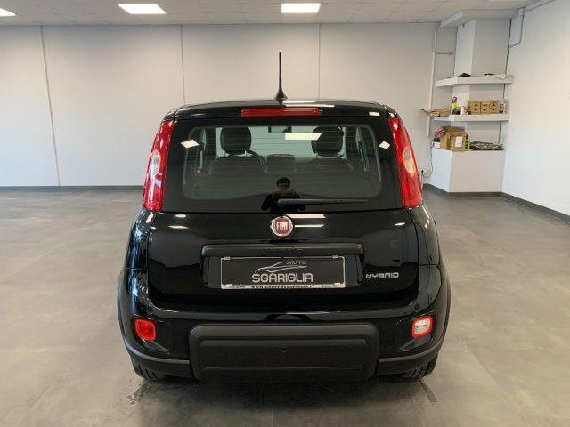 FIAT Panda 1.0 Benzina Hybrid City Life