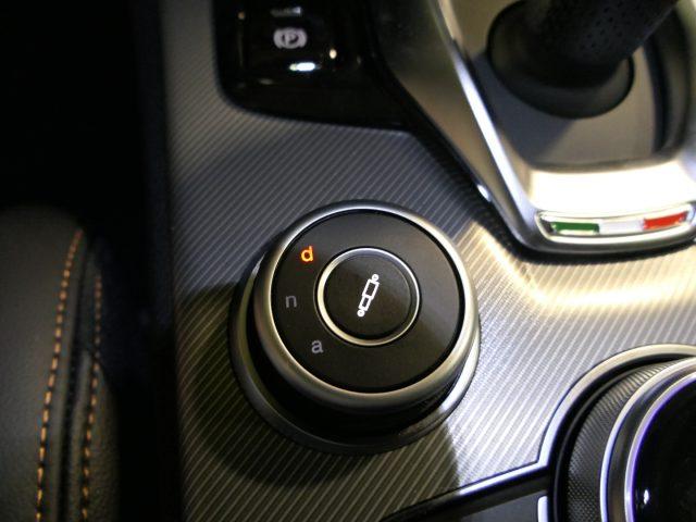 ALFA ROMEO Stelvio 2.2 Turbodiesel 210 CV AT8 Q4 Intensa