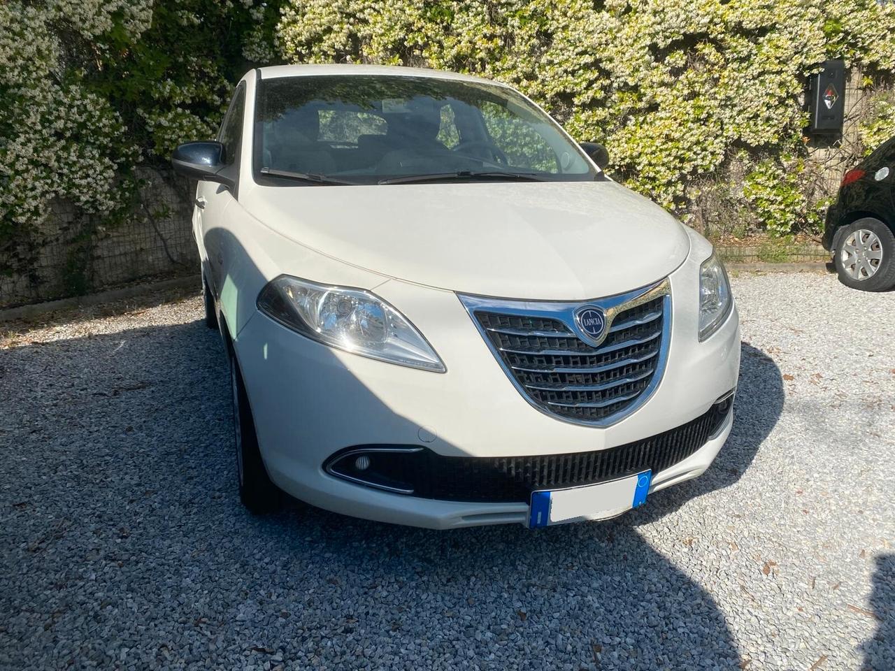 Lancia Ypsilon 1.3 MJT 16V 95 CV 5 porte S&S Gold