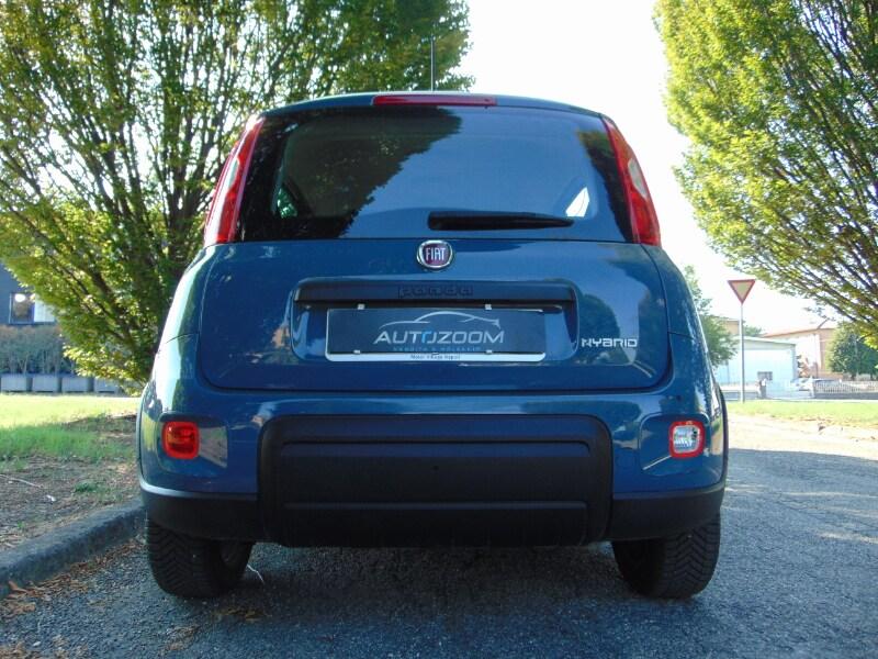 FIAT Panda 3ª serie Panda 1.0 FireFly S&S Hybr...