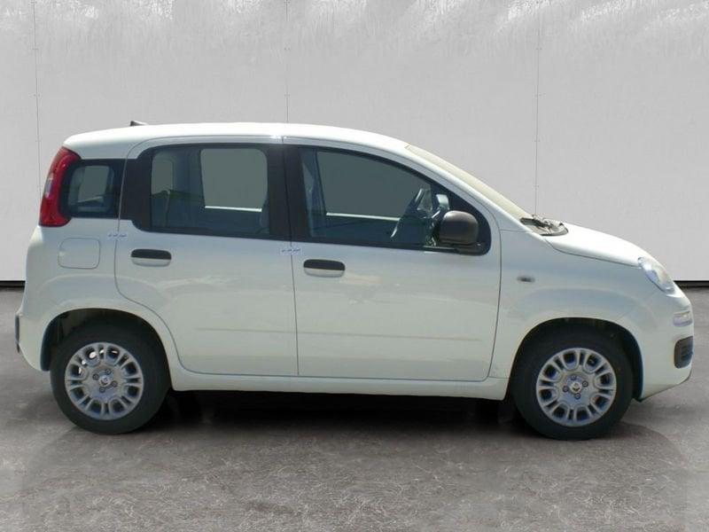 FIAT Pandina 1.0 firefly hybrid s&s 70cv