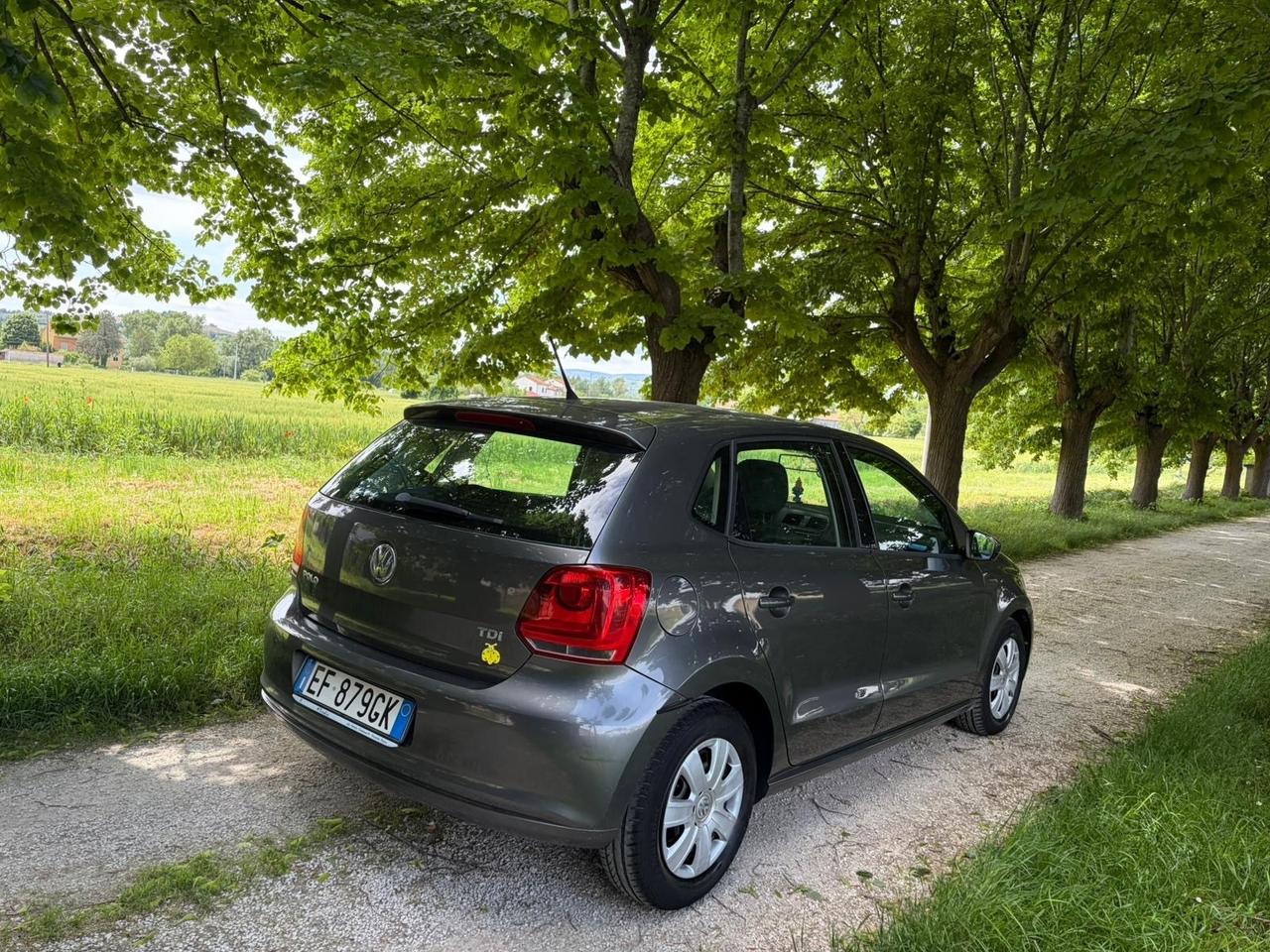 Volkswagen Polo tdi 5 porte