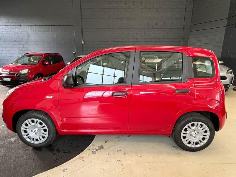 FIAT Panda Panda 1.0 FireFly S&S Hybrid - PROMO SIRONIAUTO+
