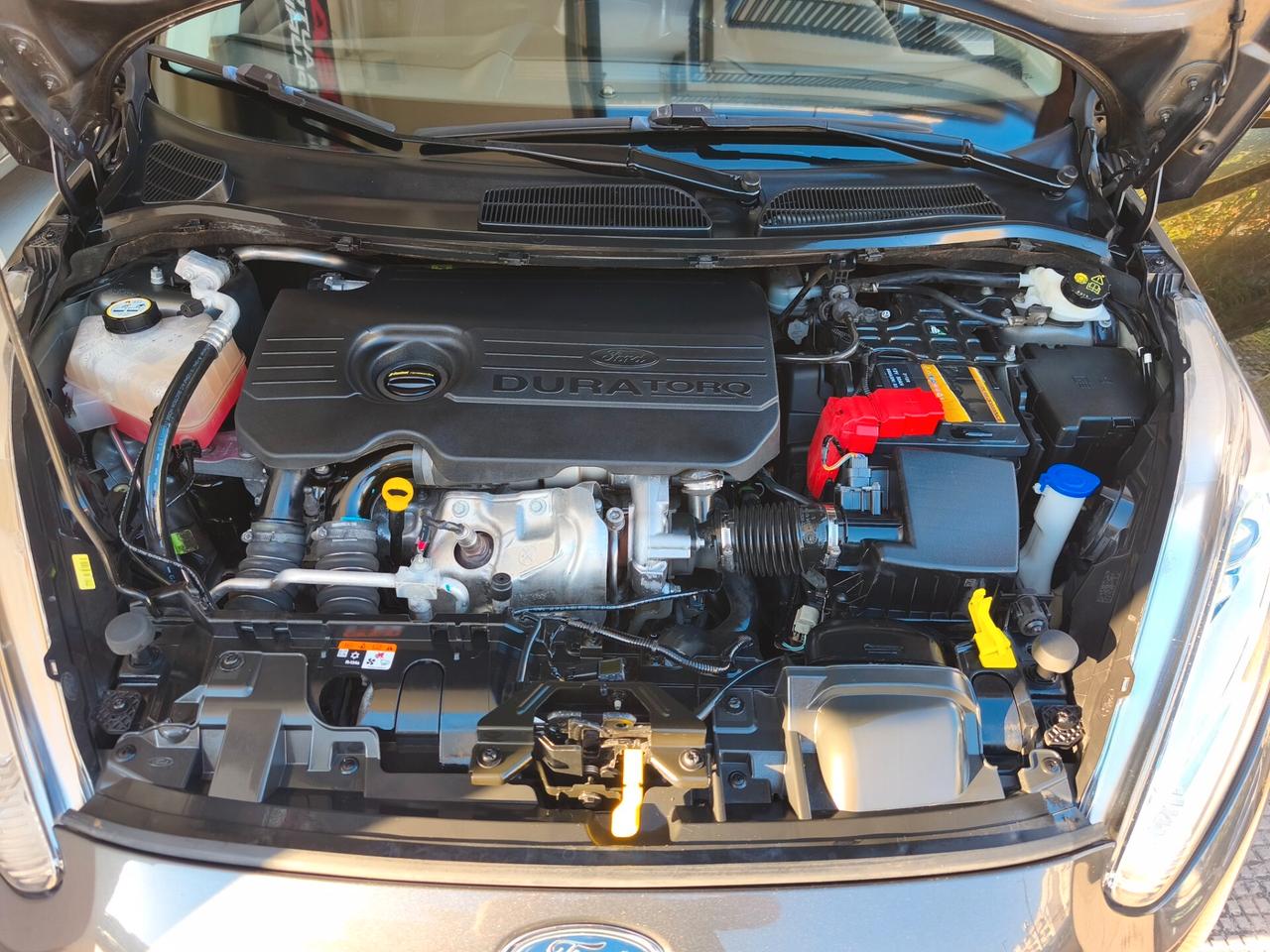 Ford Fiesta 1.5 TDCi 75CV 5 porte Titanium
