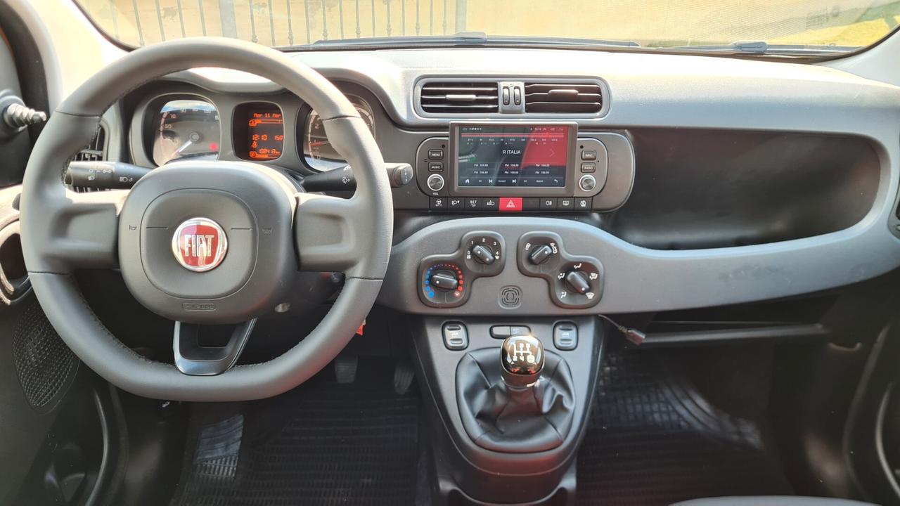 Fiat Panda 1.2 benz. 70 cv 2020 NEOPATENTATI
