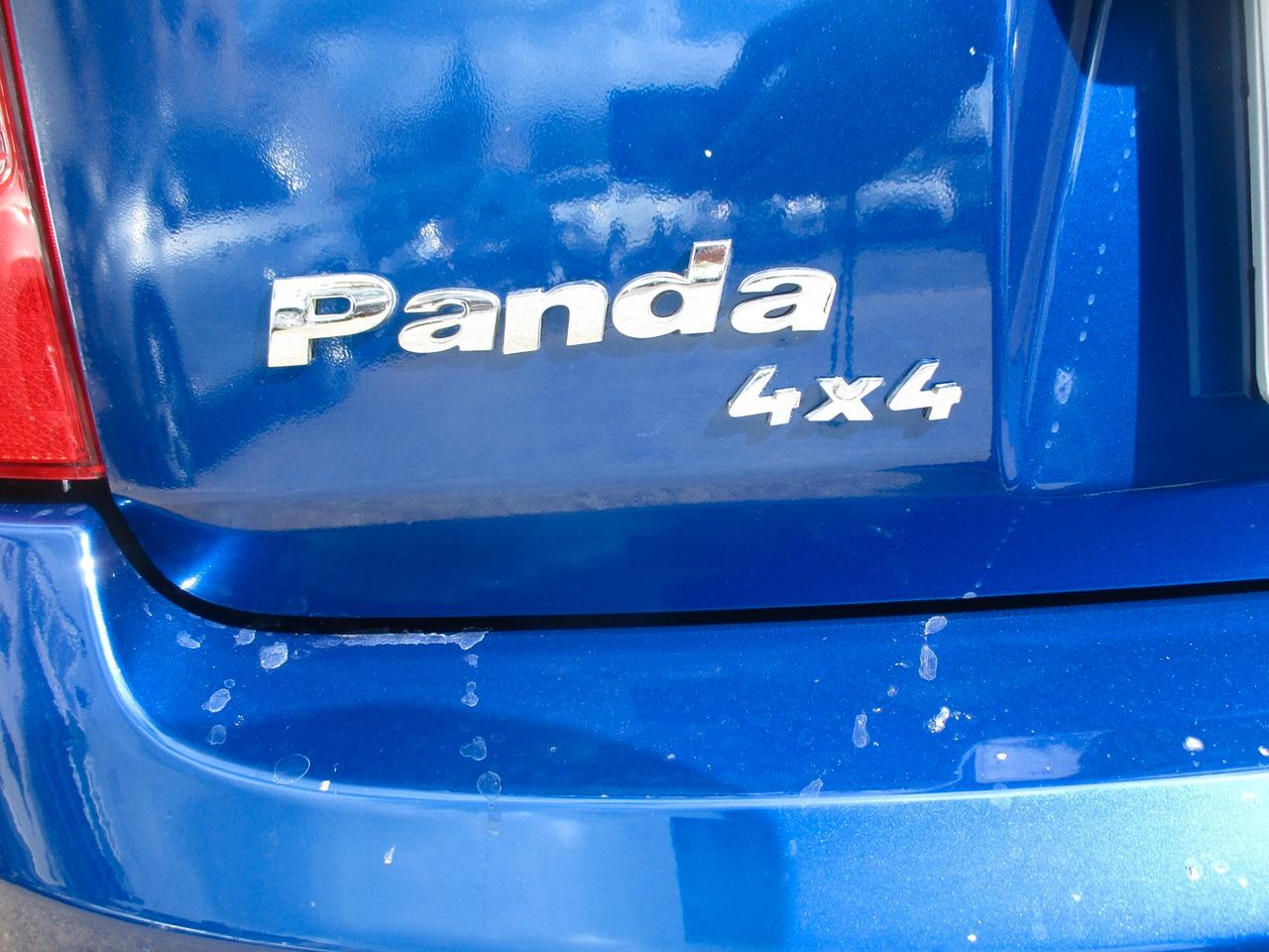 Fiat Panda 1.3 MJT 16V 4x4 MOLTO BELLA