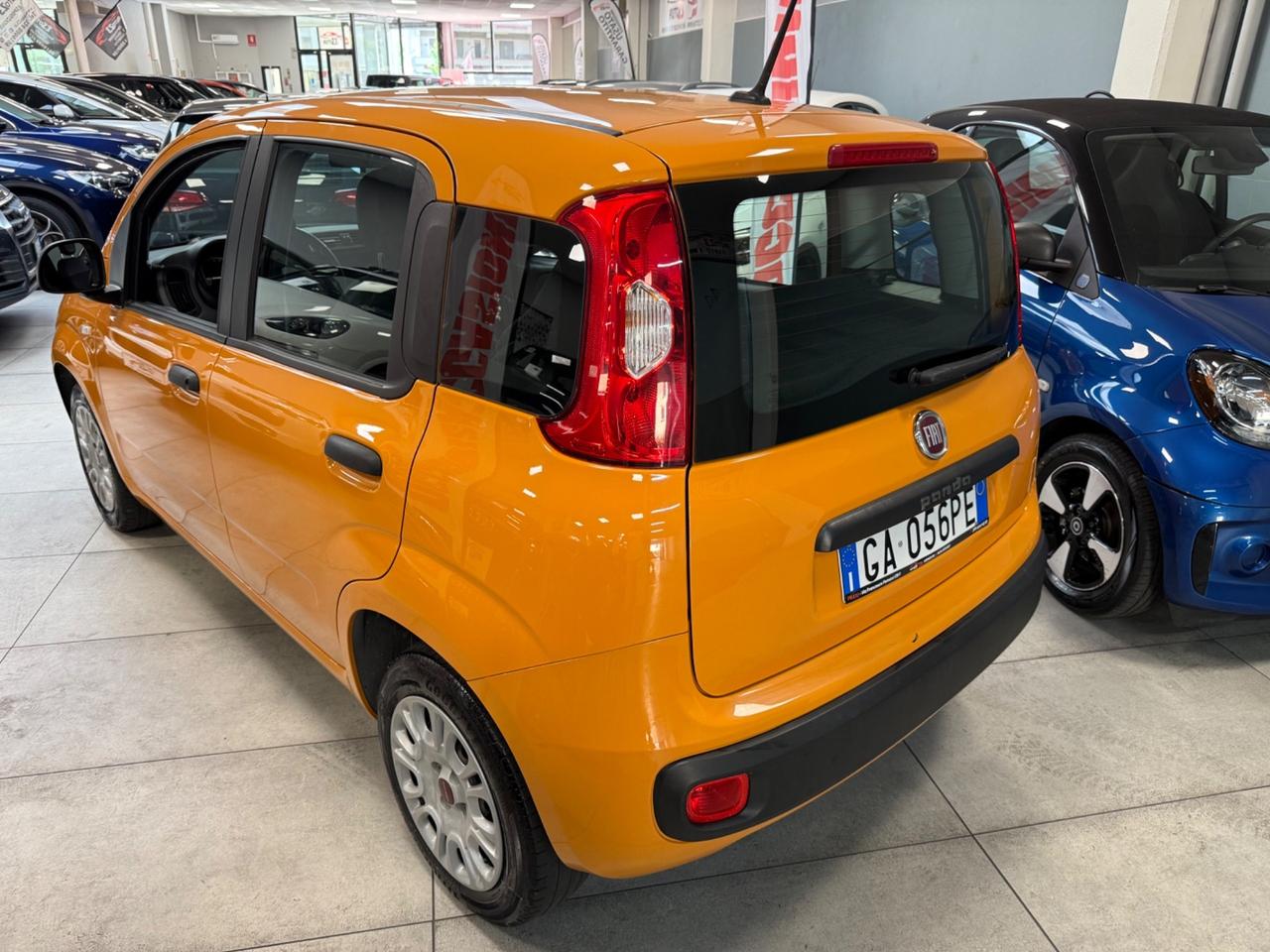 Fiat Panda 1.2 Trussardi 69CV Ok Neopatentati