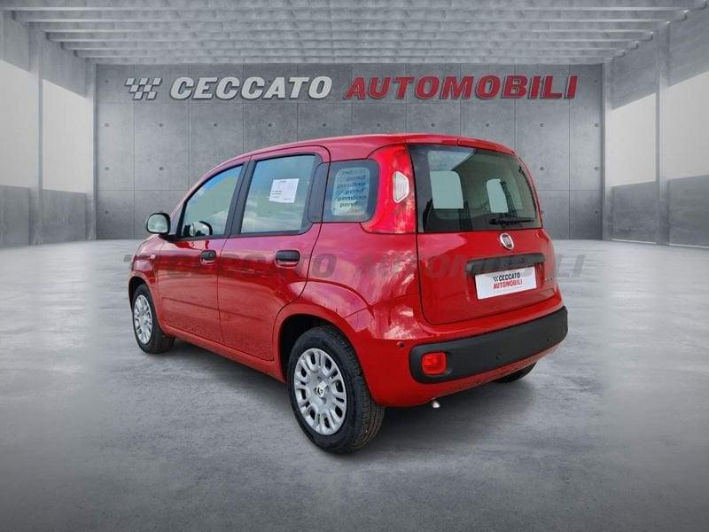 FIAT Panda Panda 1.0 70cv Hybrid Pop