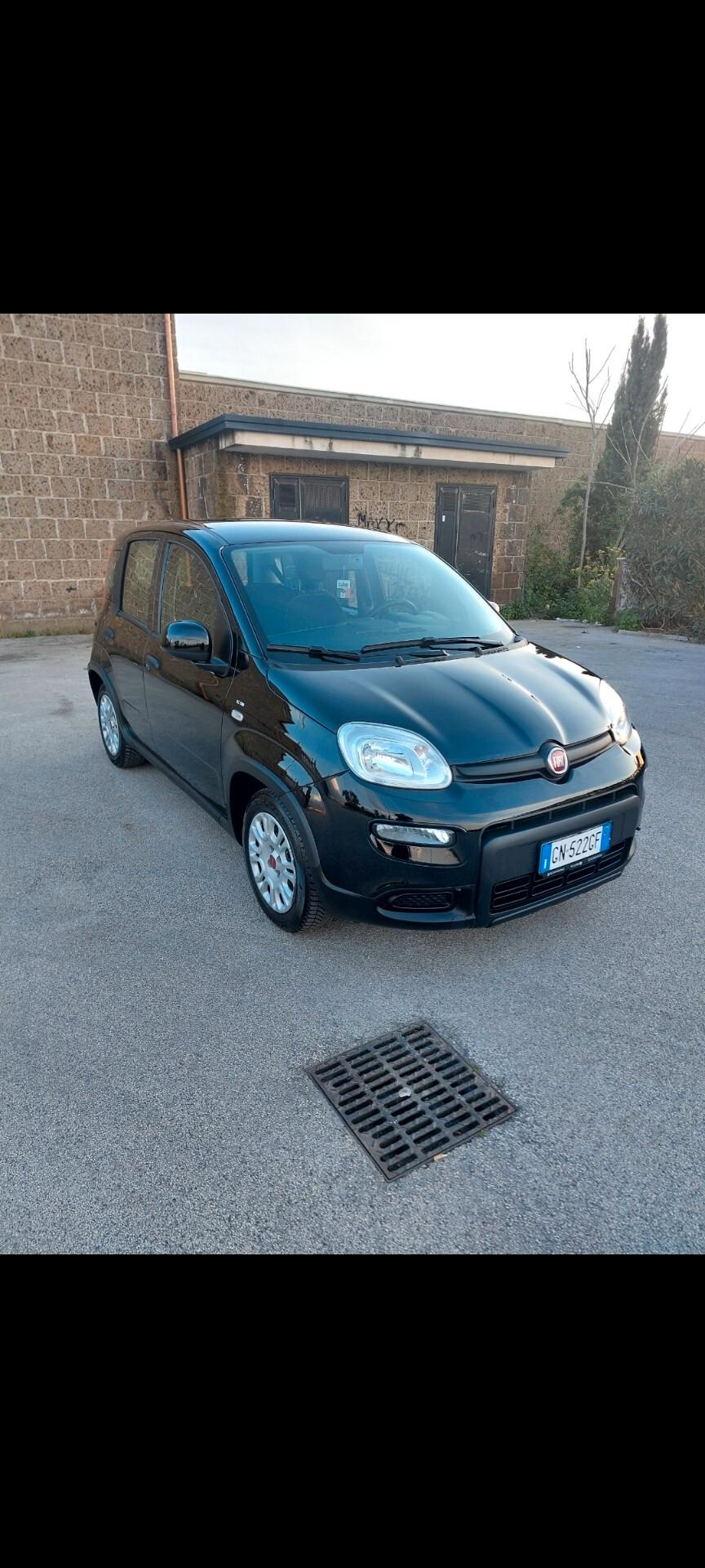 Fiat Panda 1.2 benzina GPL 78 mila km 2023 prov nord Italia