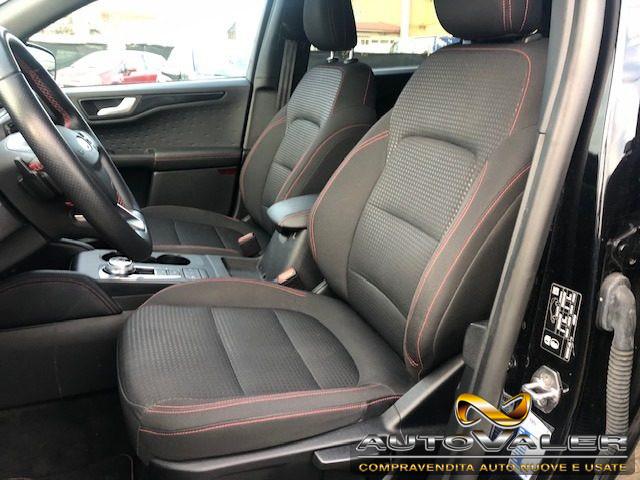 FORD Kuga 1.5 EcoBlue 120 CV Cambio aut. ST-Line