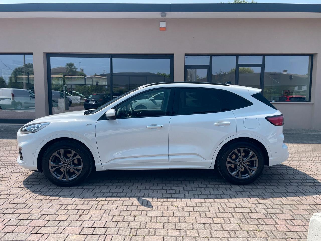 Ford Kuga 1.5 EcoBlue 120 CV aut. 2WD ST-Line X