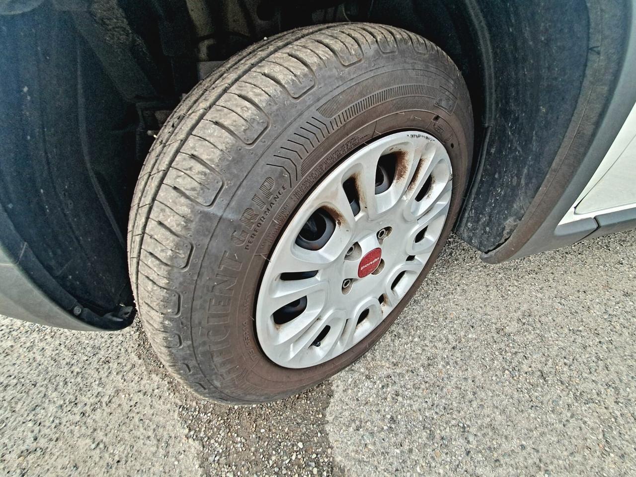 Fiat Panda 1.0 FIRE FLY 69 CV