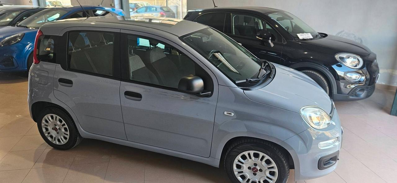 Fiat Panda 1.0 FireFly S&S Hybrid 5 Posti Easy